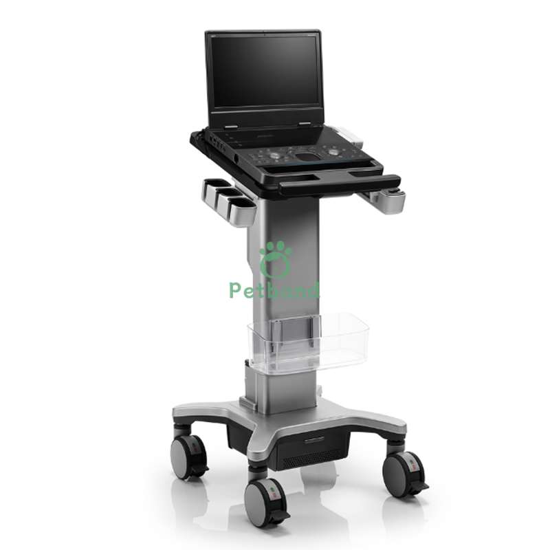 Portable Veterinary Color Ultrasound Diagnostic Device Sonoscape ProPet E11